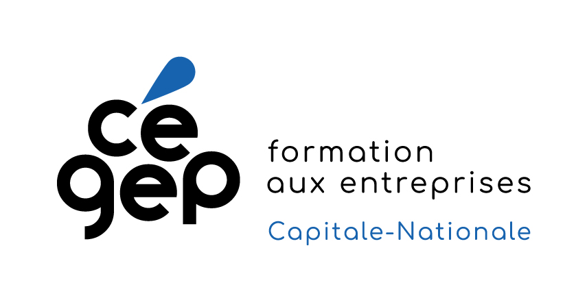 Formation sur le dépôt d'une soumission