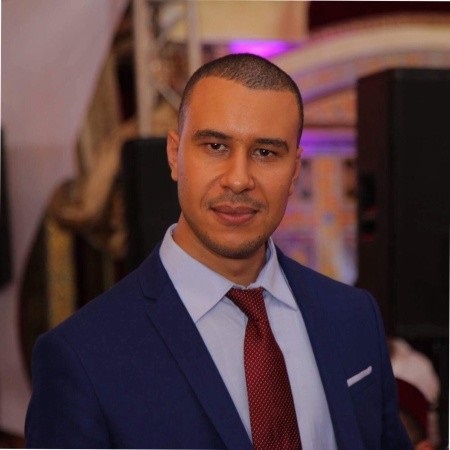Mounir Hallab, Développeur, analyste et consultant